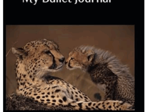 Mystisches Notizbuch. Bullet Journal.