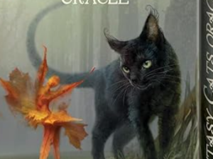 Fantasy Cats Oracle: Magic is in Your Paw